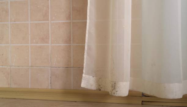 Best Water Damage & Mold Remediation  in , NV