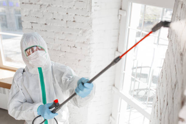Best Comprehensive Air Testing for Mold Contaminants  in , NV