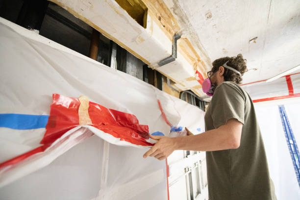 Best Emergency Mold Remediation  in , NV