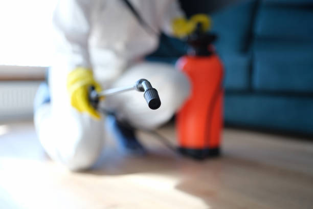 Best Real Estate Mold Inspection  in , NV