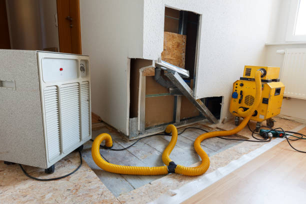 Best Air Quality Testing for Mold Spores  in , NV